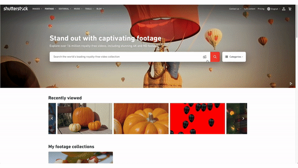 Stand out with captivating footage | Recently Viewed | My footage collections